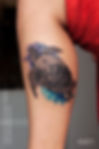 Turtle Tattoo