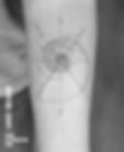 The Golden Ratio