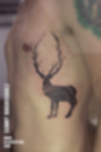 Deer Tattoo