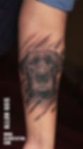 Black Labrador Portrait Tattoo