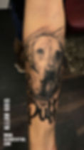 Dog Tattoo
