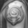 Scorpion Engulfed Tattoo